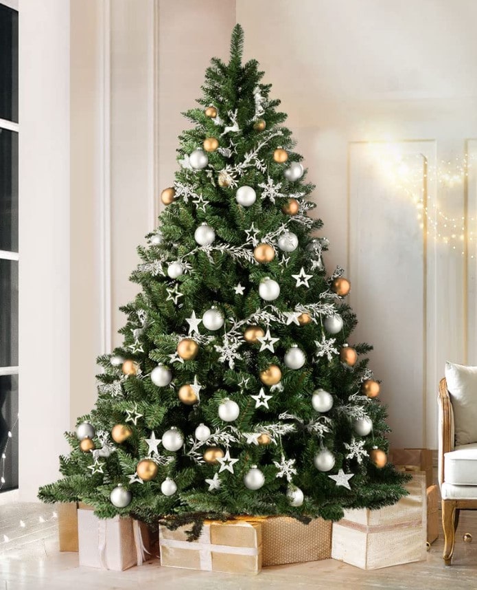 Merry Moments Celebrating Christmas in Aged Care